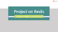 Redis Certification (3 Courses Bundle, Online Certification)