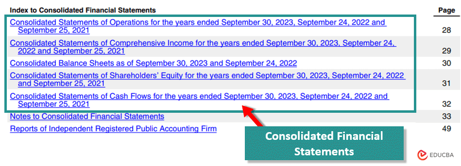 Consolidated Financial Statements for financial modeling