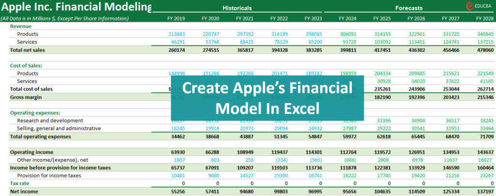 Create Financial Model in Excel 2024