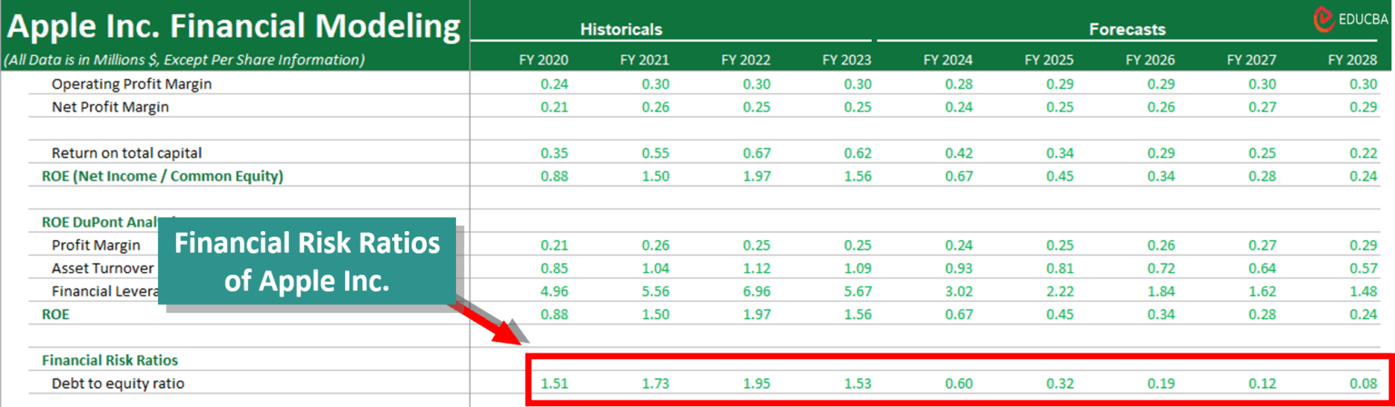 Financial Modeling in Excel | Stepwise Guide +Template (2024)