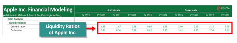 Financial Modeling in Excel | Stepwise Guide +Template (2024)