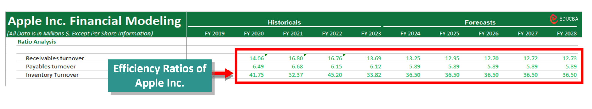 Financial Modeling in Excel | Stepwise Guide +Template (2024)