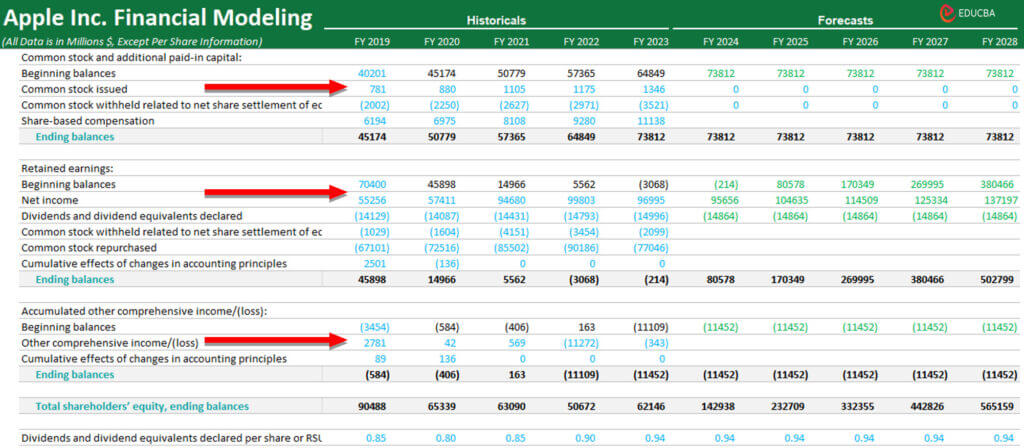 financial modeling in excel-shareholder’s equity schedule
