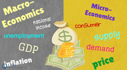 what are the difference between macroeconomics and microeconomics