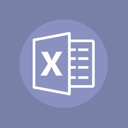 MS Excel 2007 - Beginners and Advanced