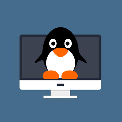 Linux Training Course Bundle