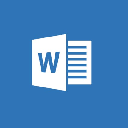 MS Word 2010