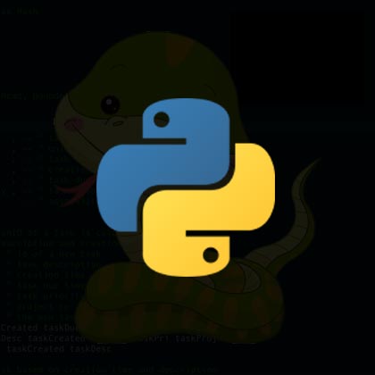 Python Training Course Bundle