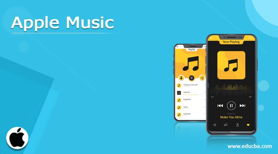 NowPlaying: Explore Music on iPad, iPhone & Apple Watch - Music Facts &  Details App