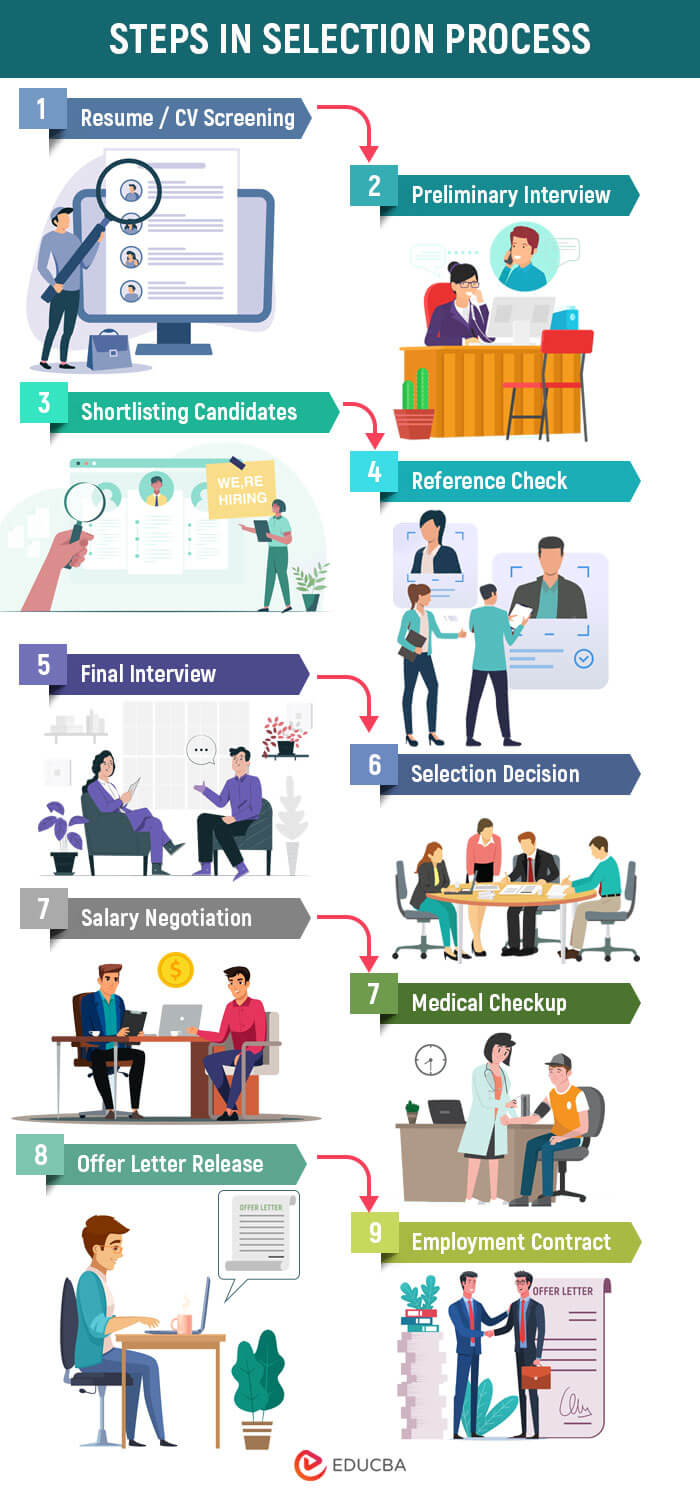 Process of Selection Infographic