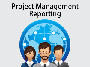 Project Management Reporting Tool Learn Top 5 Types Of Tool