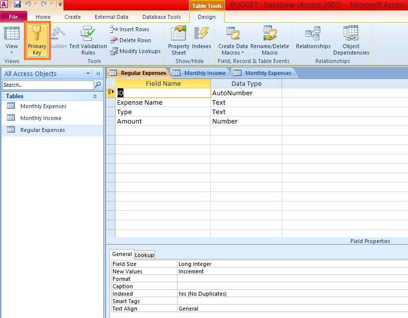 microsoft access database