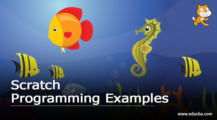 Scratch Programming Examples