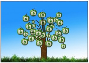 money tree