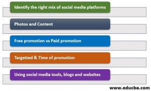 Social Media Strategy Plan | 5 Effective Business Strategy and Planning