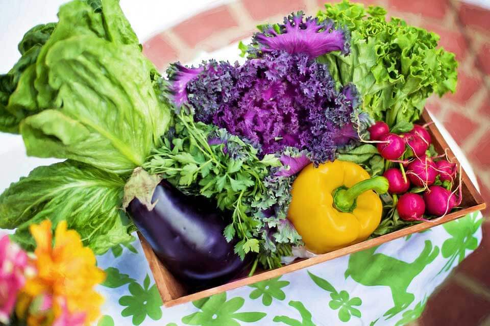 Healthy diet meals - Green vegetables