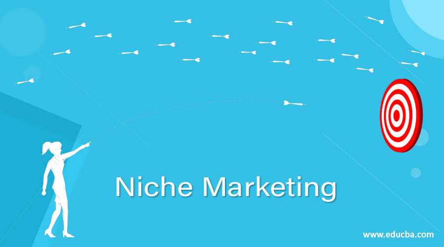 how-to-get-niche-marketing-definition-examples-strategy