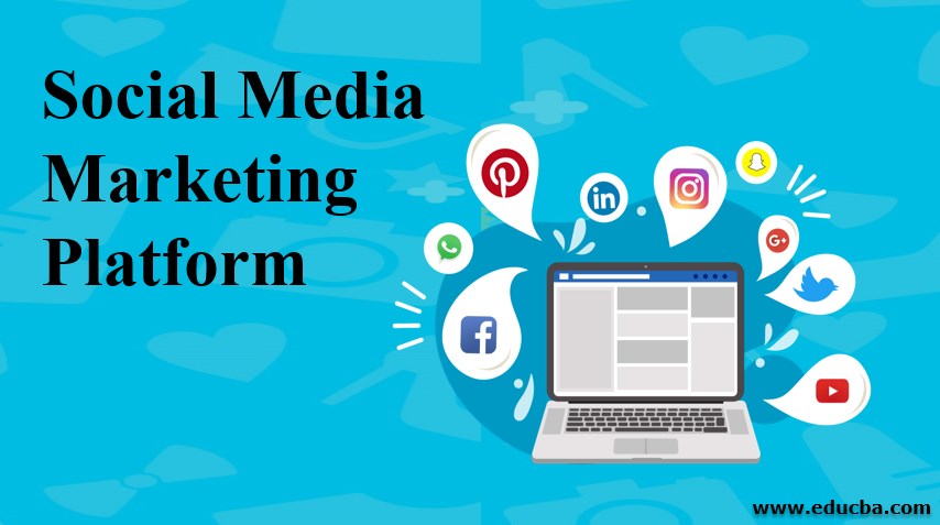 Social Media Marketing Platform