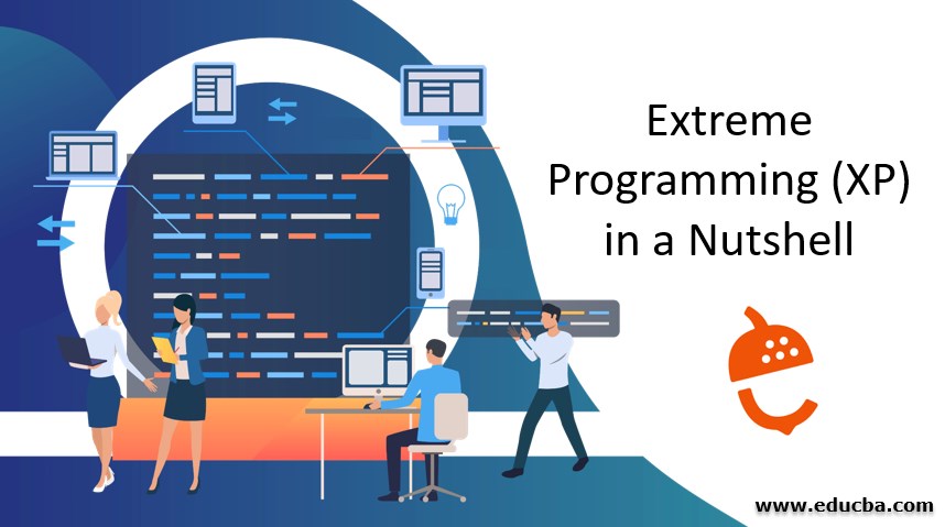 Extreme Programming (XP) in a Nutshell