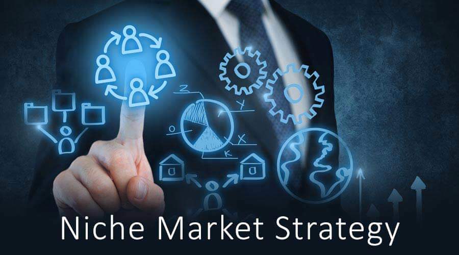 What is Niche Strategy?