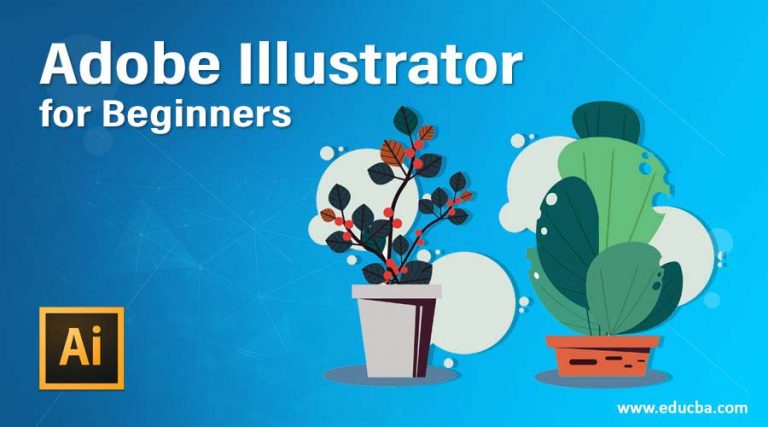 learning adobe illustrator for beginners