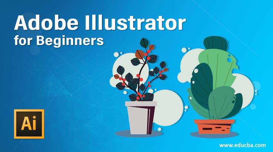 Adobe-Illustrator-for-beginners