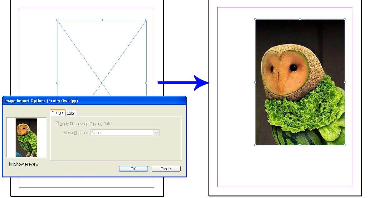 InDesign Document Setup | 4 Best Steps to Insert an Image