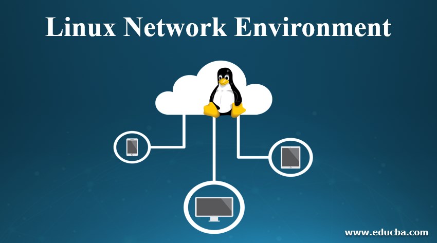 Linux Network Environment 