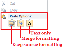 Working With Text In Word - Paste Special Screen