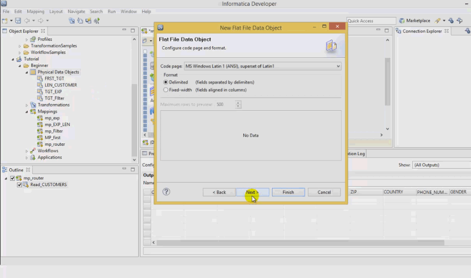 informatica developer tool file data