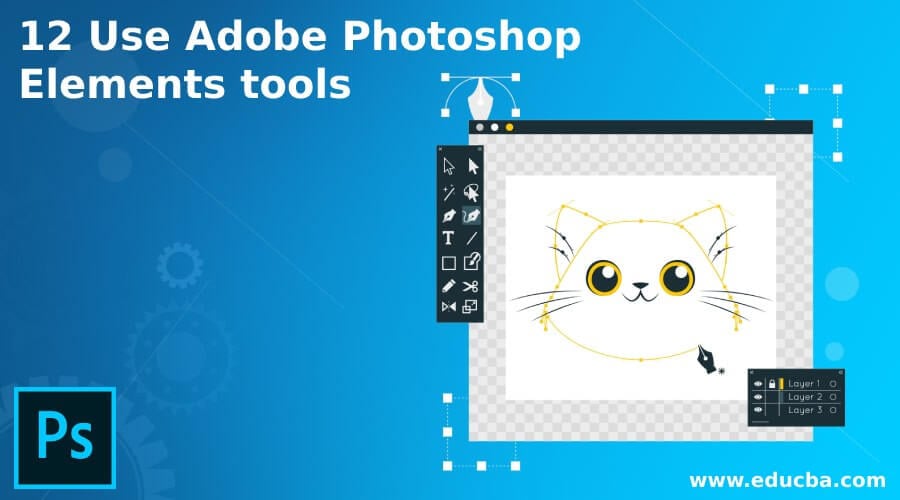 12 Use Adobe Photoshop Elements tools | Photoshop Element 14 Reviews