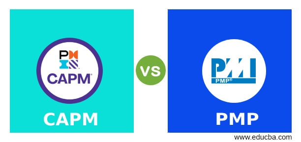 CAPM vs PMP
