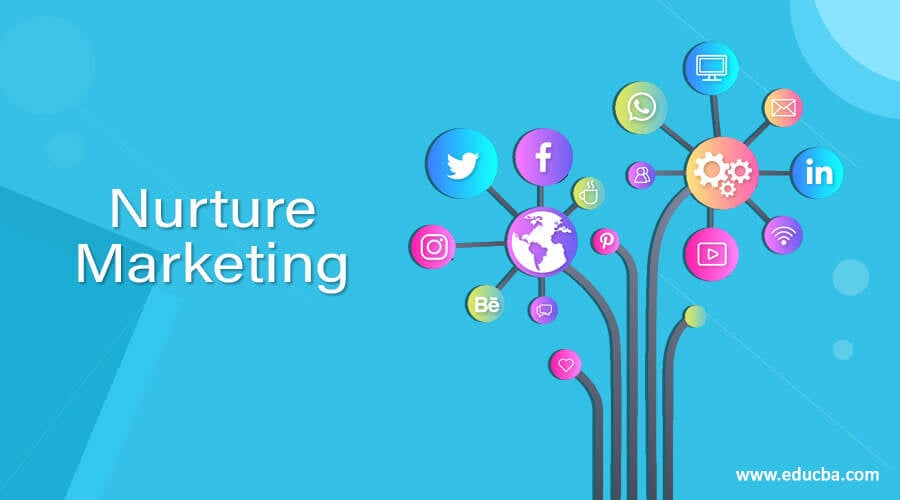 Nurture Marketing