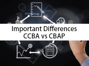 Latest CBAP Test Practice