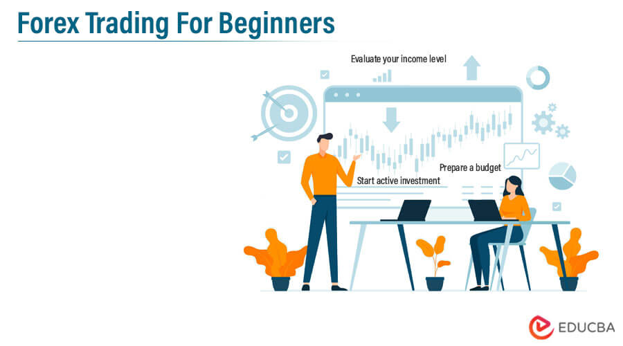 Forex Trading For Beginners