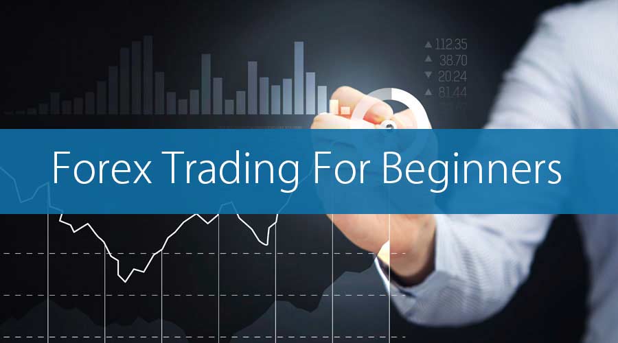 Basics of forex trading for beginners