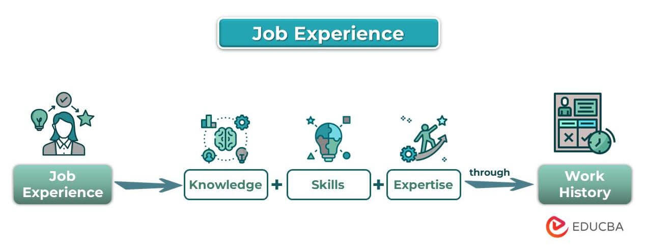 Job Experience | Definition, Requirements & Examples