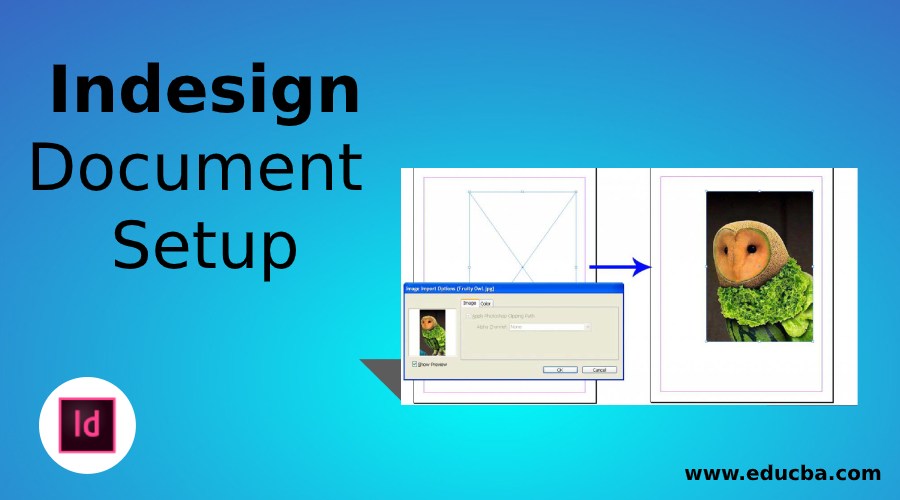 Configuración del documento InDesign Configuración del documento