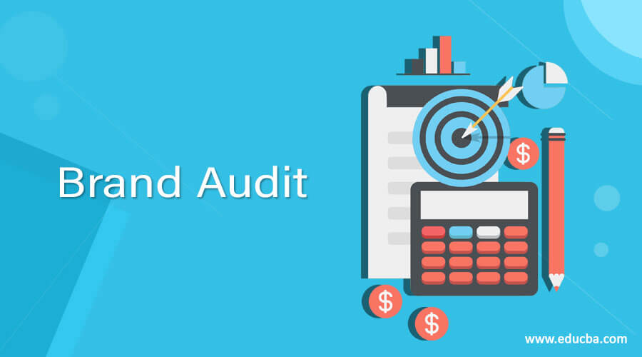 6 Important Steps To Conduct a Brand Audit Correctly