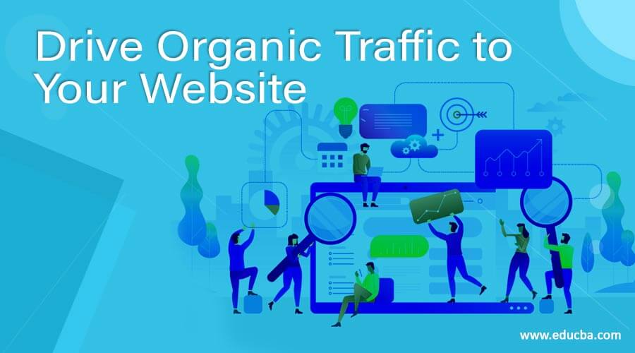 Drive Organic Traffic to Your Website