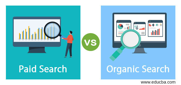Paid Search vs Organic Search