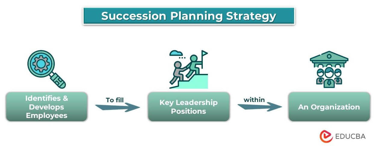 succession planning strategy