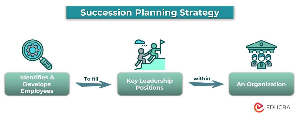 Succession Planning Strategy A Comprehensive Guide 4450