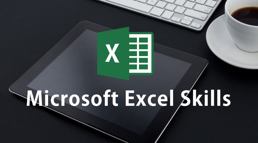 microsoft excel skills