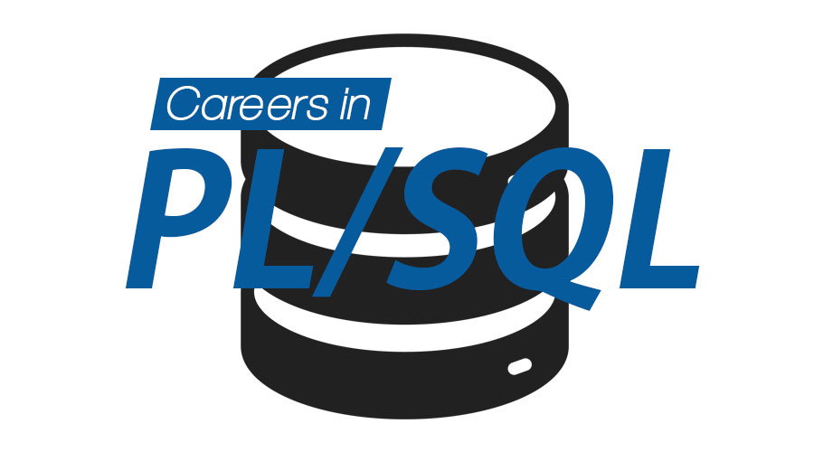 junior pl sql developer jobs in usa