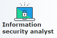 Career in Computer Science - Information security analyst