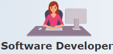 Software Developer