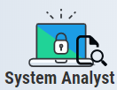 System Analyst