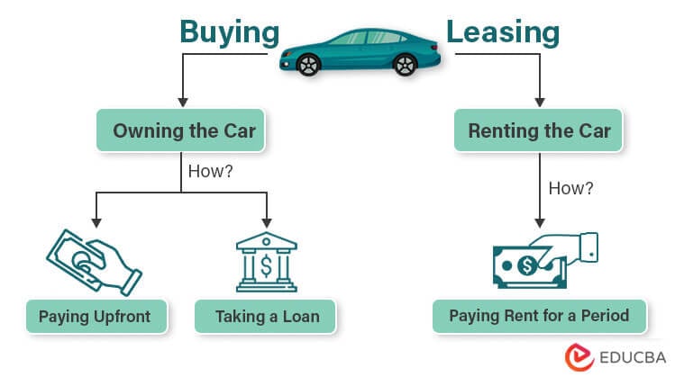 Car Leasing Options Finding the Perfect Fit