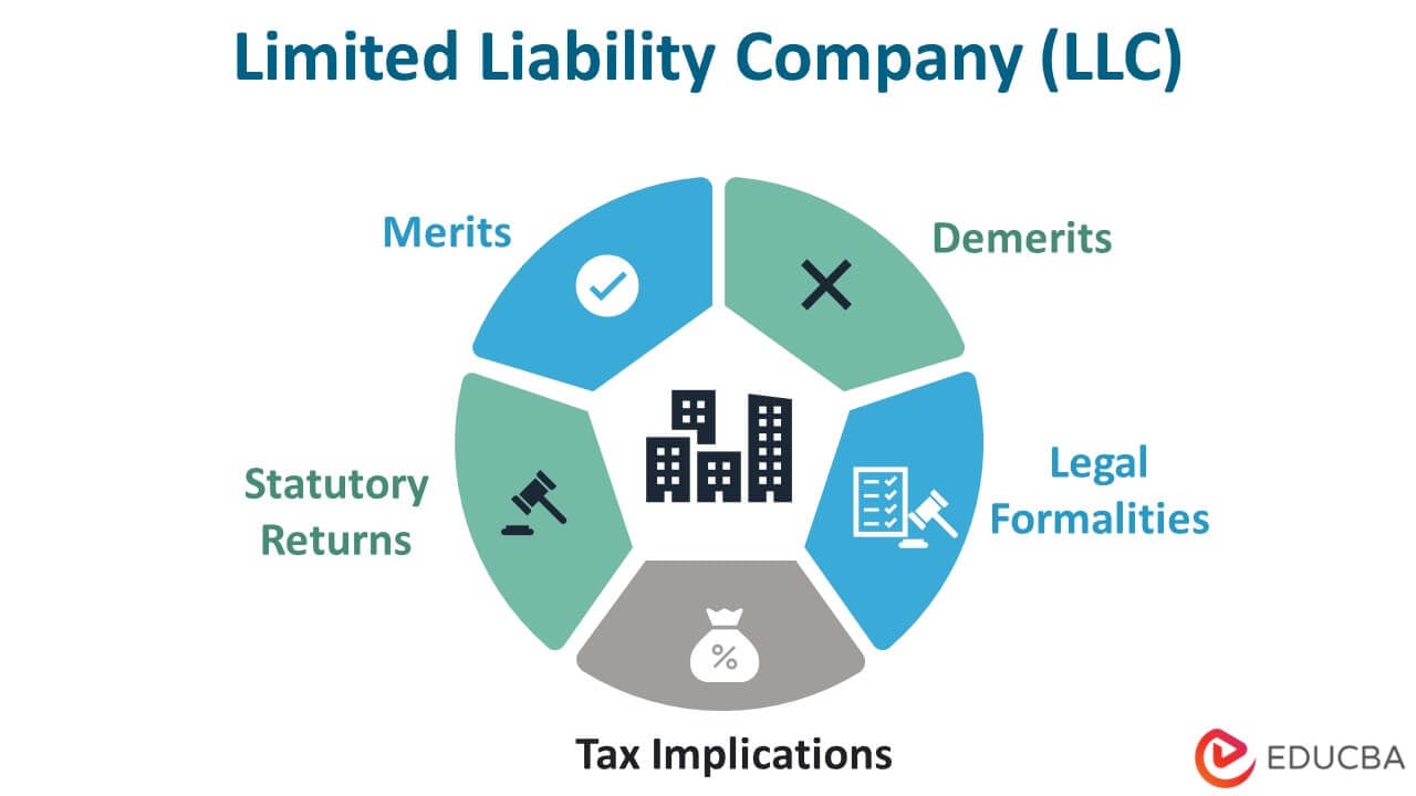 Limited Liability Company (LLC) Meaning and Definition (2023)